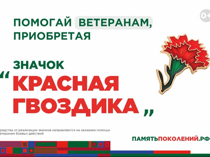 Ежегодная всероссийская акция помощи ветеранам «Красная гвоздика».